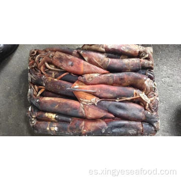 Squid congelado Dosidicus gigas entera redondo 300-500G